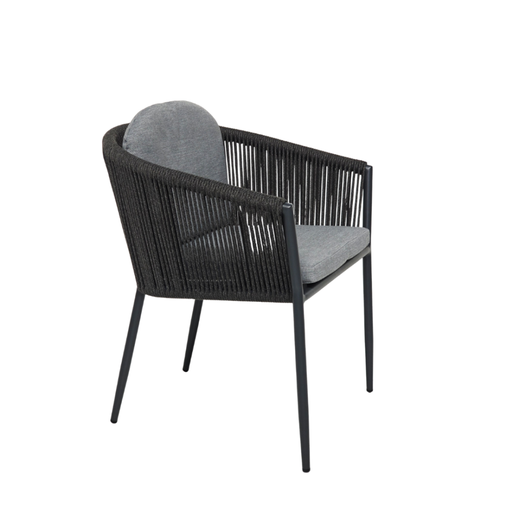 Muses dining chair - Set of 2