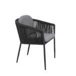 Muses dining chair